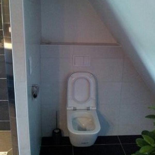 Esps rénovation toilettes